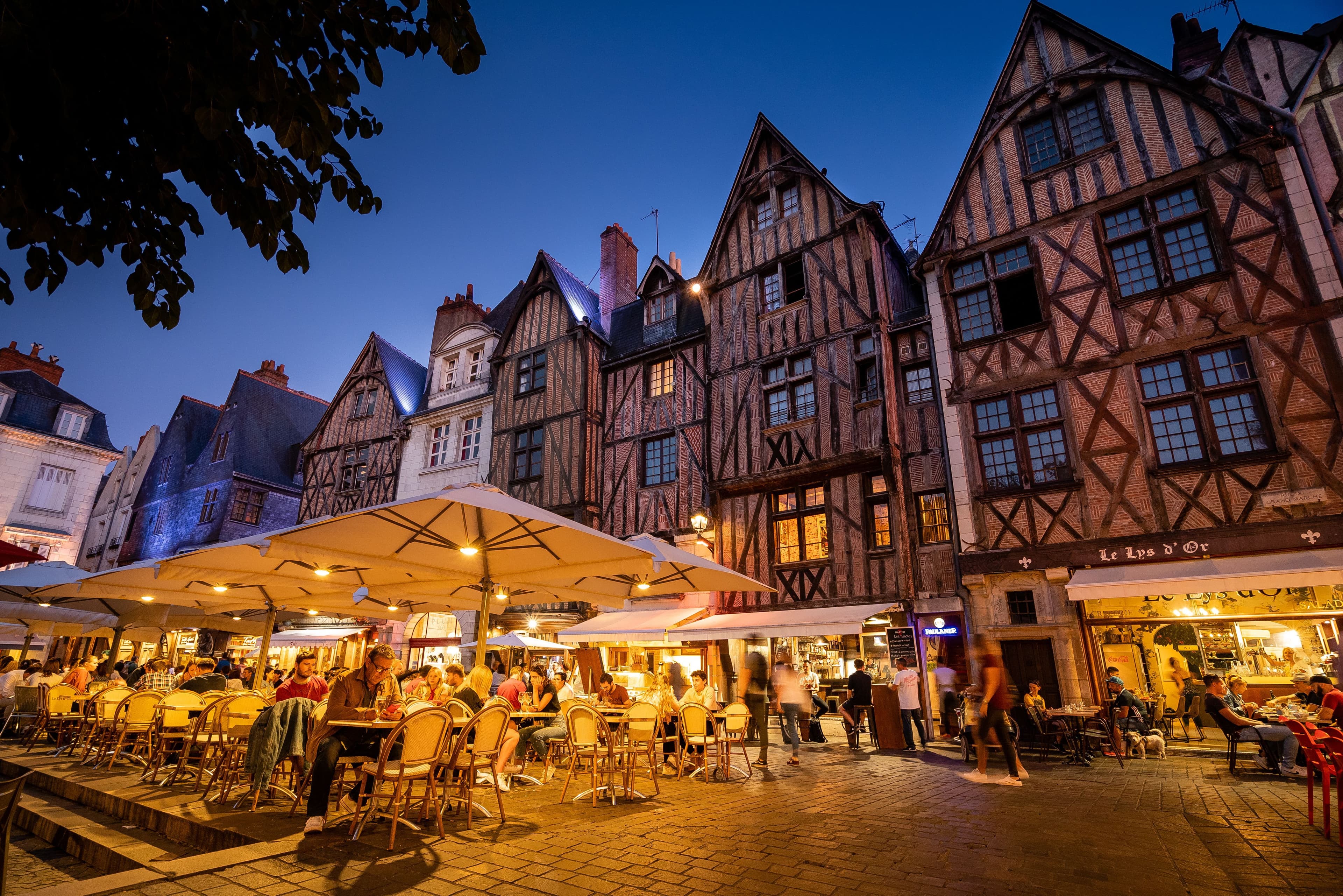 Project Tours-tourisme image